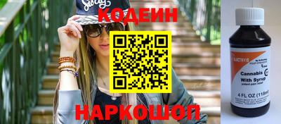 крисы Можга