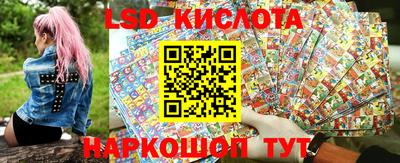 крисы Можга