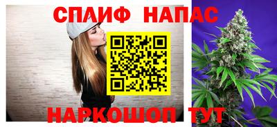 крисы Можга