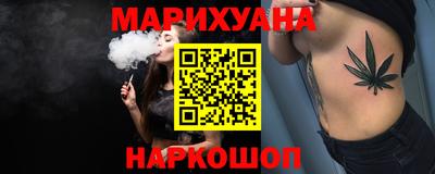 крисы Можга