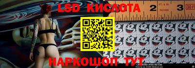 крисы Можга