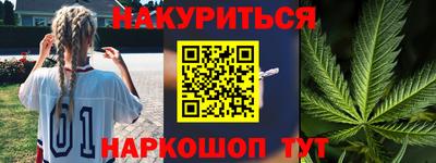 крисы Можга