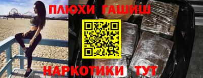 крисы Можга