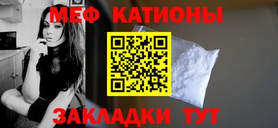 крисы Можга