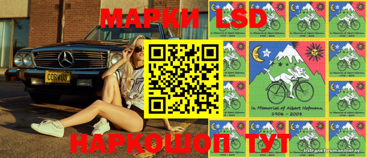 Губкин  Марки 25I-NBOMe  Марки 25I-NBOMe 1,8мг  Вход с VPN  Марки 25I-NBOMe 1,8мг 
