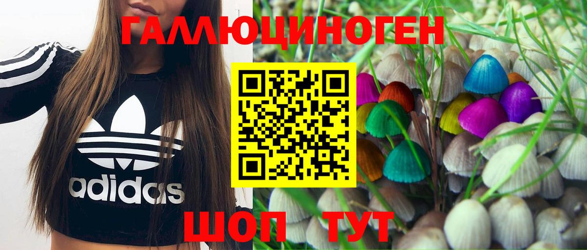 Псилоцибиновые грибы GOLDEN TEACHER Губкин